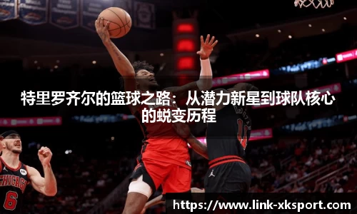 星空体育在线官网